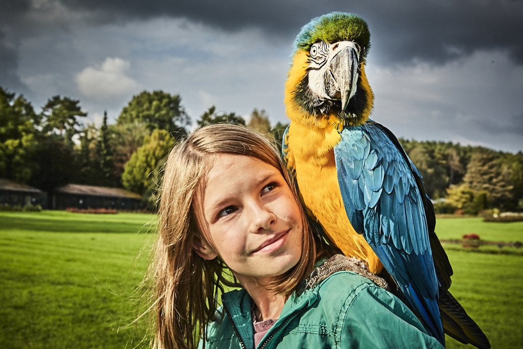 Auf Federfühlung mit den Papageien | Foto: Weltvogelpark Walsrode