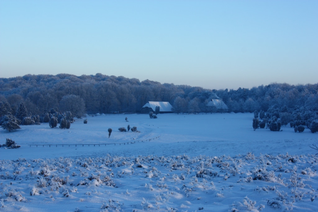 Winter landscape with snow near Niederhaverbeck | VNP Stiftung Naturschutzpark