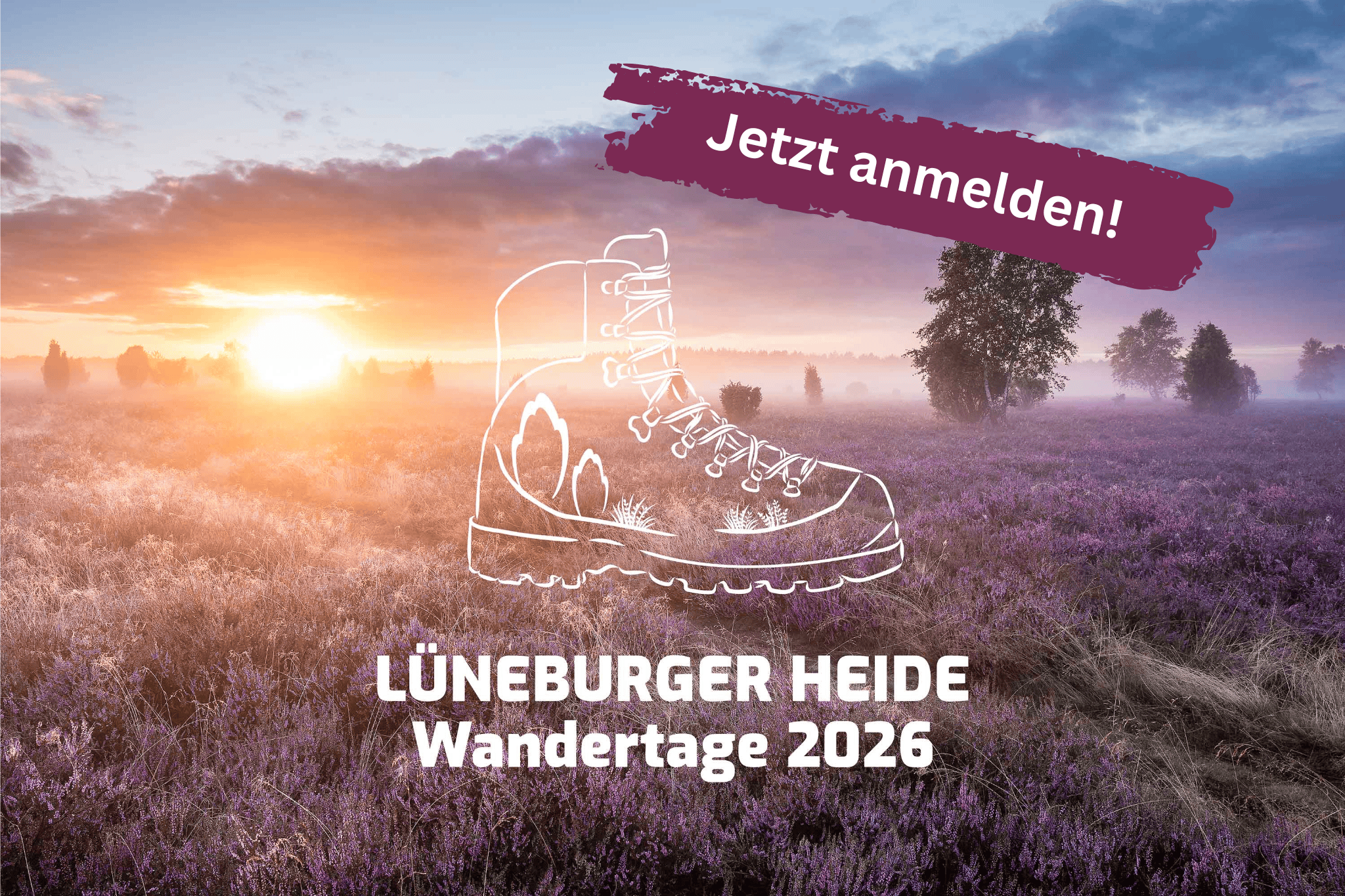 Grafik Lüneburger Heide Wandertage 2026 - Jetzt buchen