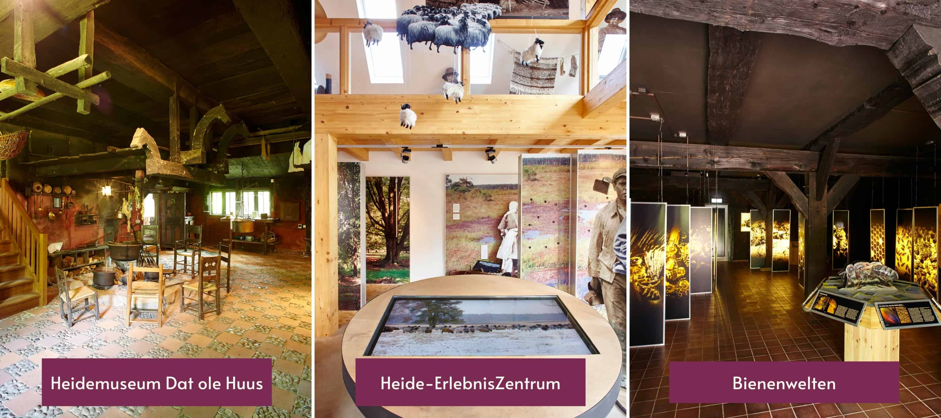 Die Ausstellungen des VNP: Das Heidemuseum "Dat ole Huus", das Heide-ErlebnisZentrum und die Bienenwelt