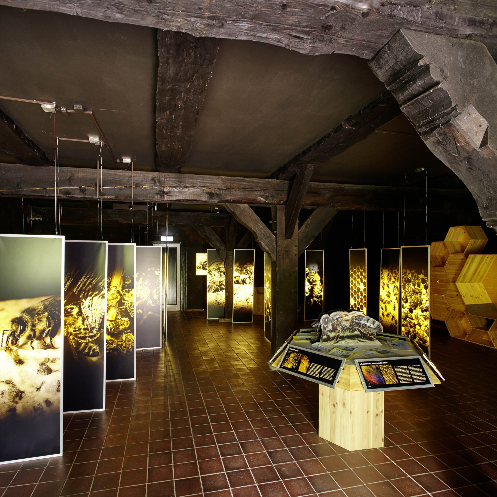 A view of the "Bienenwelten (Bee worlds)" exhibition in Niederhaverbeck | Photo: Christian Burmester